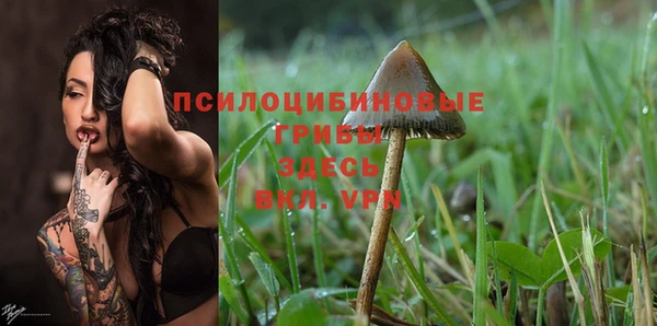 MESCALINE Бородино